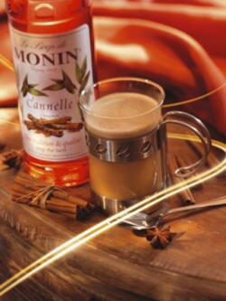 MONIN Cinnamon syrup 250 ml.