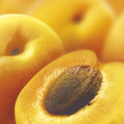 Apricot puree, 1 kg. frozen