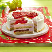 Strawberry cream fix with pieces 1 kg. big buy - save 20%