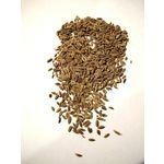 Dill Seeds, whole 50 g.
