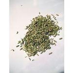 Fennel, whole 50 g.