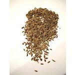 Dill Seeds, whole 100 g.