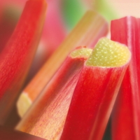 Rhubarb puree 1 kg. frozen