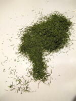 dill dried 25 g.